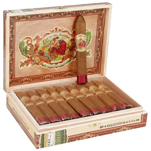 Flor de las Antillas BelicosoÂ